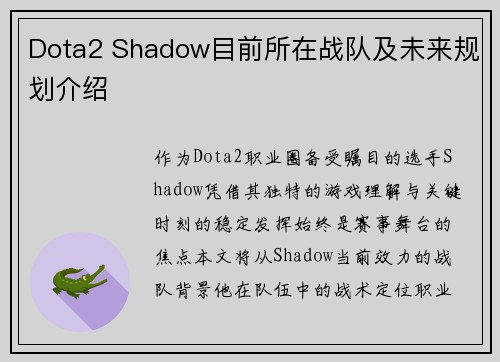 Dota2 Shadow目前所在战队及未来规划介绍
