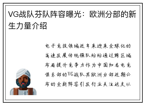 VG战队芬队阵容曝光：欧洲分部的新生力量介绍